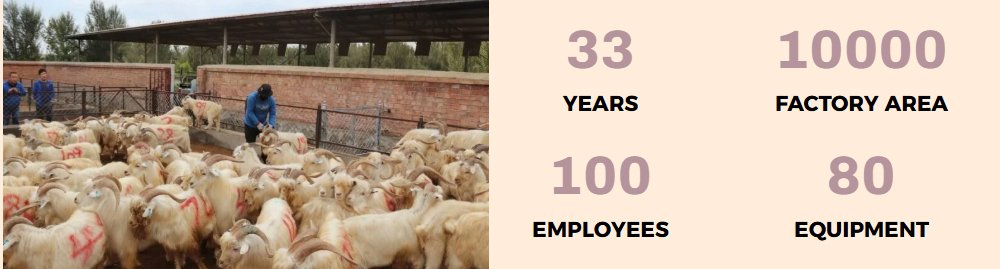 Jingshang cashmere knitwear manufacturers